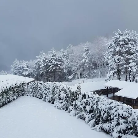 Ca L'avet Casa de Férias